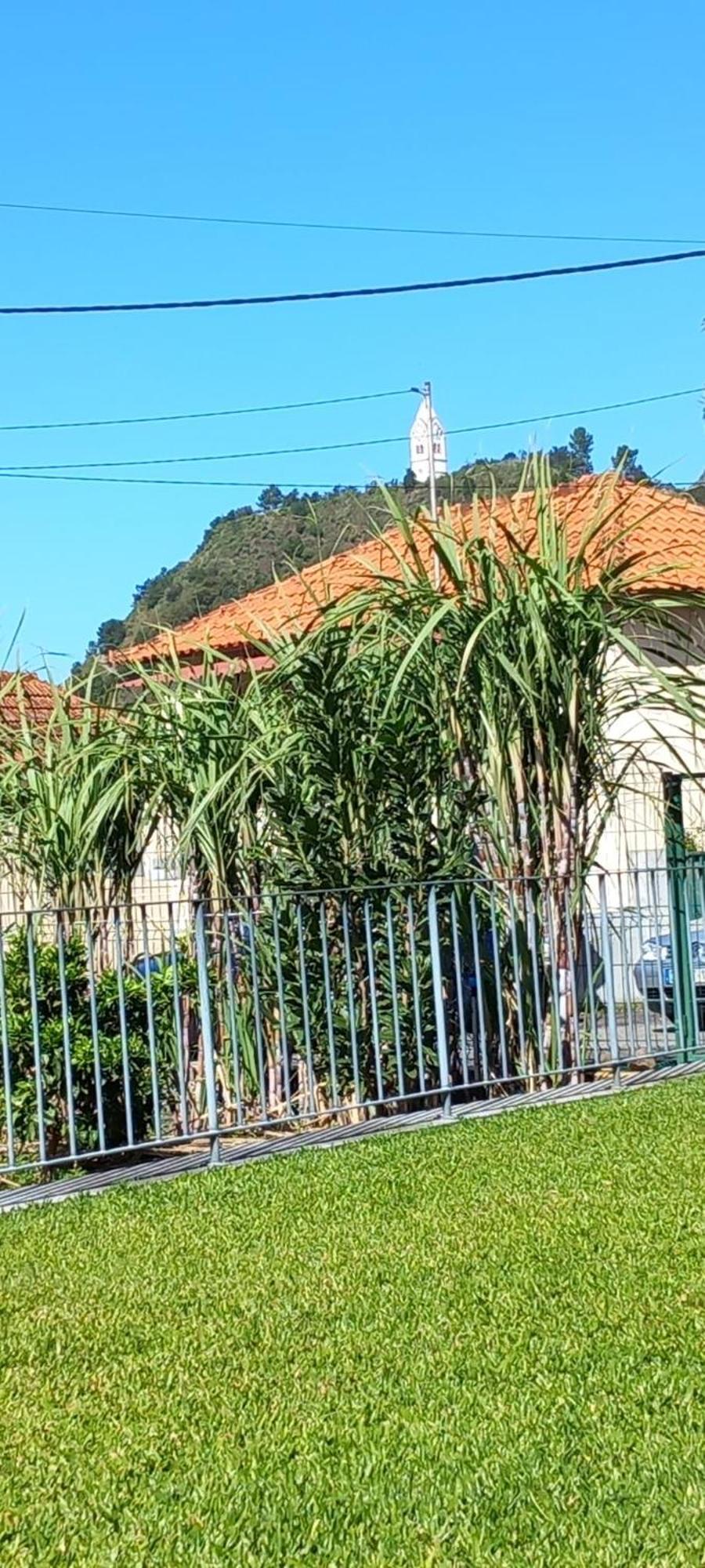Refugio Do Limoeiro Βίλα São Vicente Εξωτερικό φωτογραφία